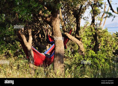 Siesta: Portret Uczuć Pod Północnoafrykańskim Słońcem?